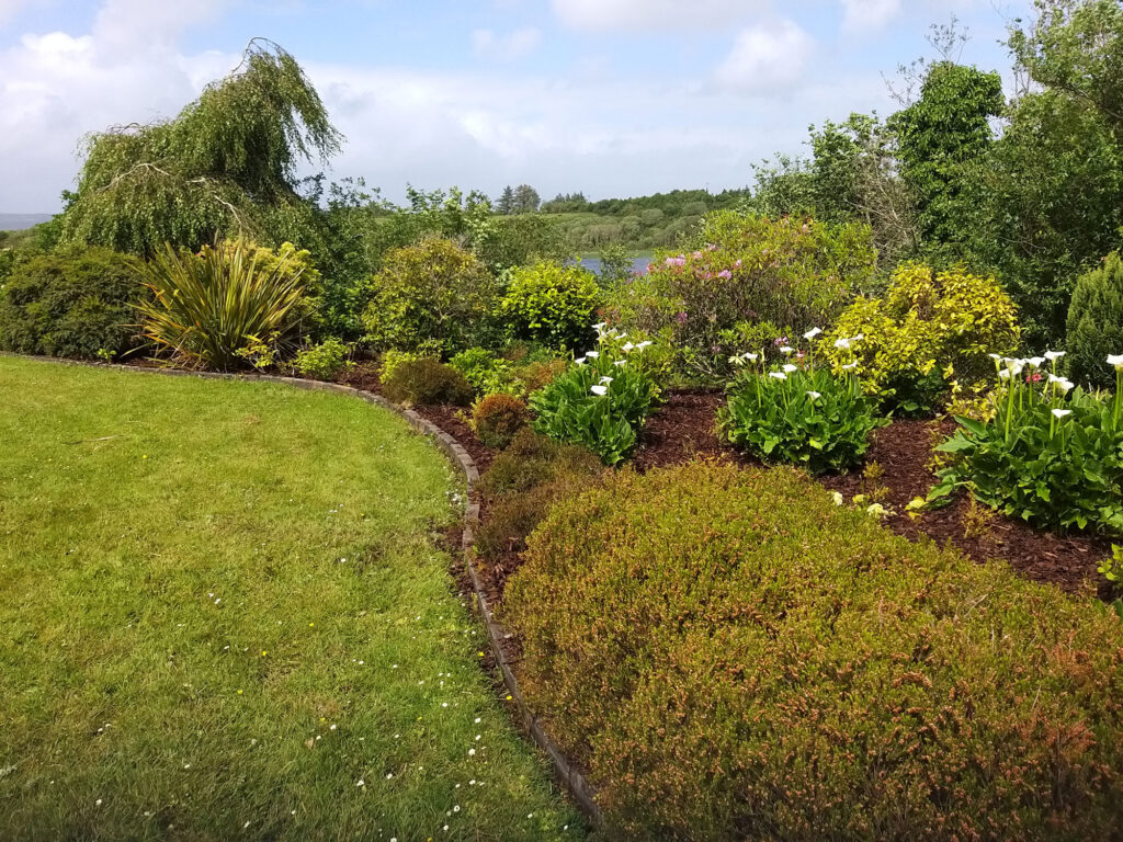 A Garden After Being Serviced — Alpha and Omega Refurbishment in Tuam, Galway