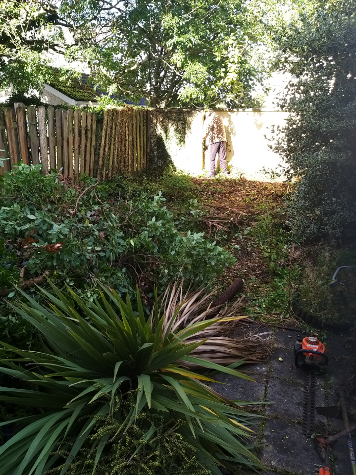 Overgrown Garden with Recently Trimmed Foliage — Alpha and Omega Refurbishment in Tuam, Galway