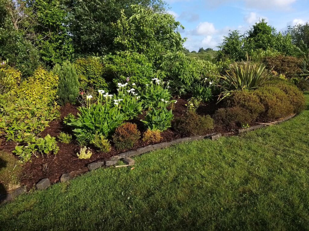 Gardening Works — Alpha and Omega Refurbishment in Tuam, Galway