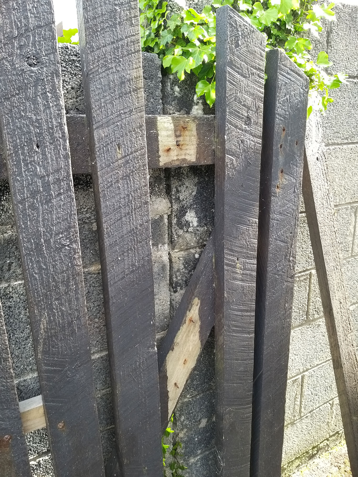 A Fence Before Repair — Alpha and Omega Refurbishment in Tuam, Galway