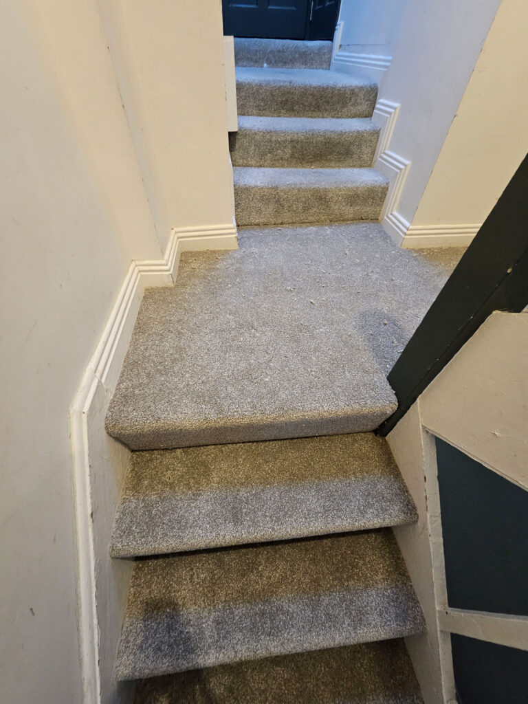 New Stairs Carpet — Alpha and Omega Refurbishment in Tuam, Galway