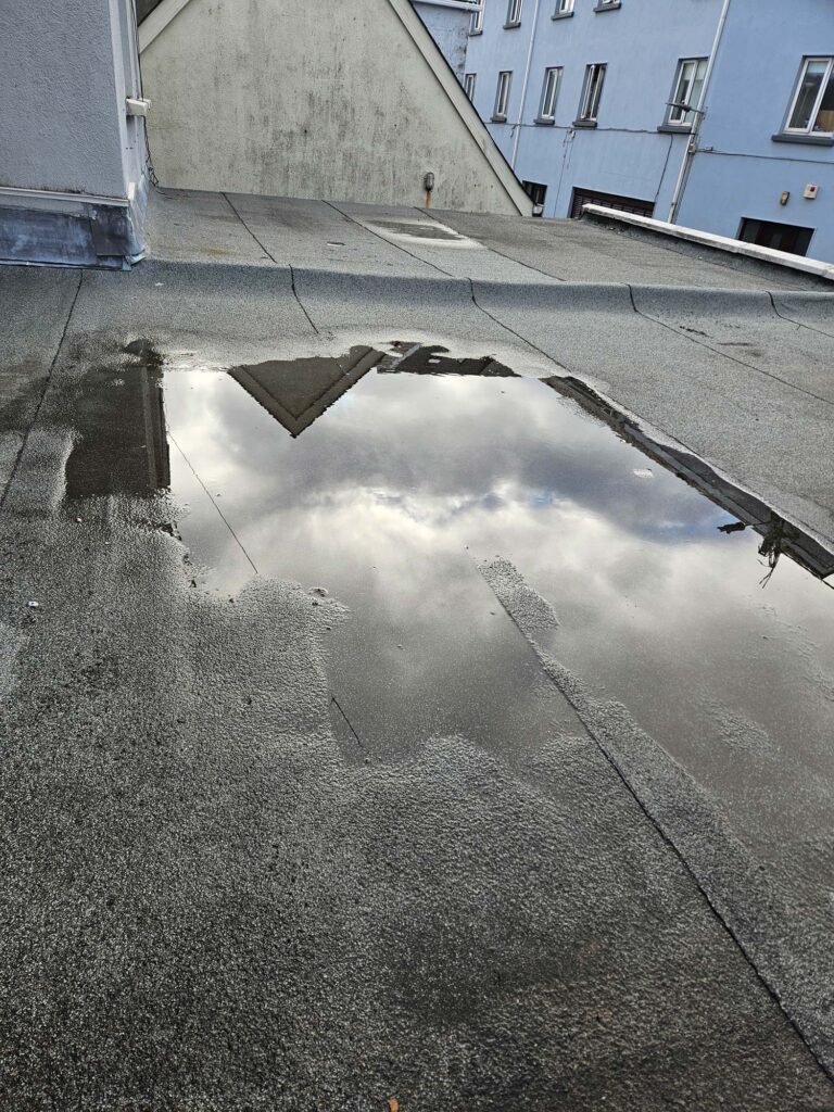 A Flooded Flat Roof — Alpha and Omega Refurbishment in Tuam, Galway