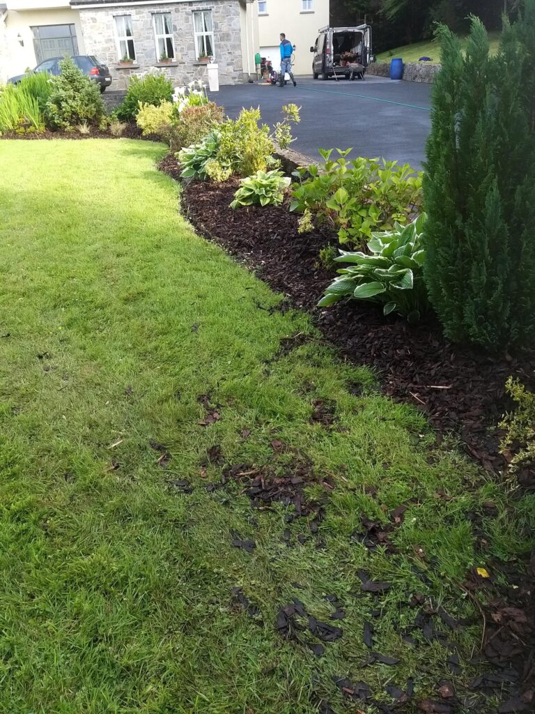 Close Up of a Garden Area — Alpha and Omega Refurbishment in Tuam, Galway